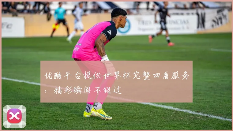 优酷平台提供世界杯完整回看服务，精彩瞬间不错过