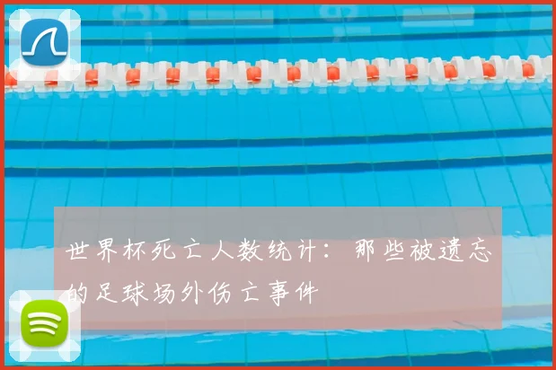 世界杯死亡人数统计:那些被遗忘的足球场外伤亡事件