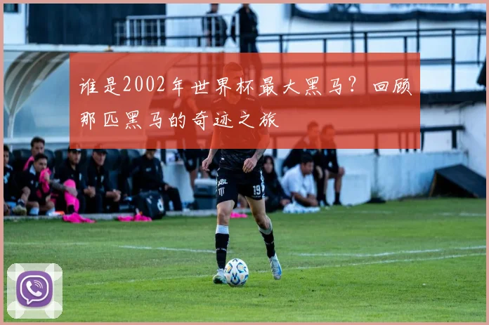 谁是2002年世界杯最大黑马？回顾那匹黑马的奇迹之旅
