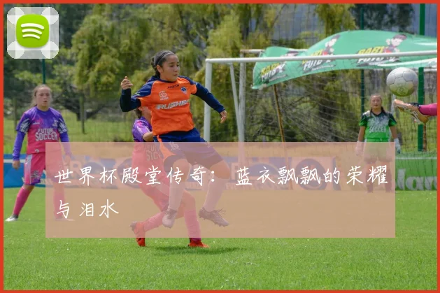 世界杯殿堂传奇：蓝衣飘飘的荣耀与泪水