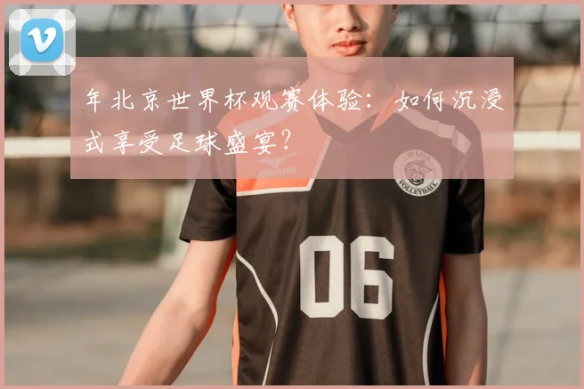 年北京世界杯观赛体验:如何沉浸式享受足球盛宴?