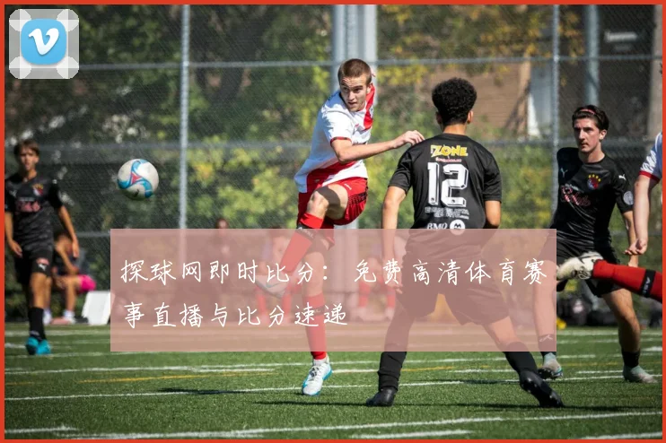 探球网即时比分：免费高清体育赛事直播与比分速递