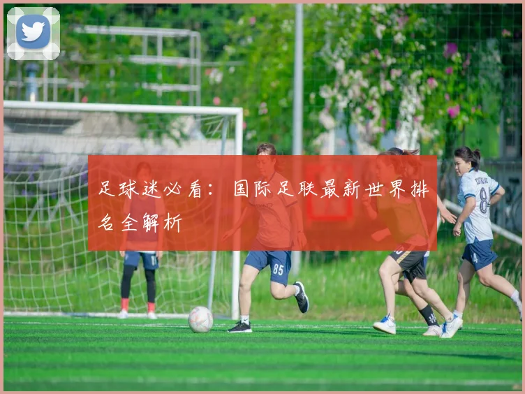 足球迷必看:国际足联最新世界排名全解析