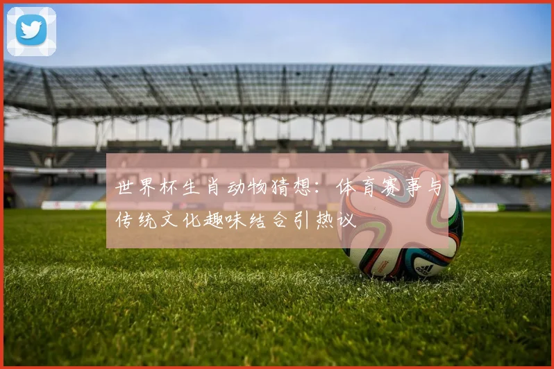 世界杯生肖动物猜想：体育赛事与传统文化趣味结合引热议