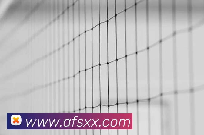 米乐官网-首页品牌故事