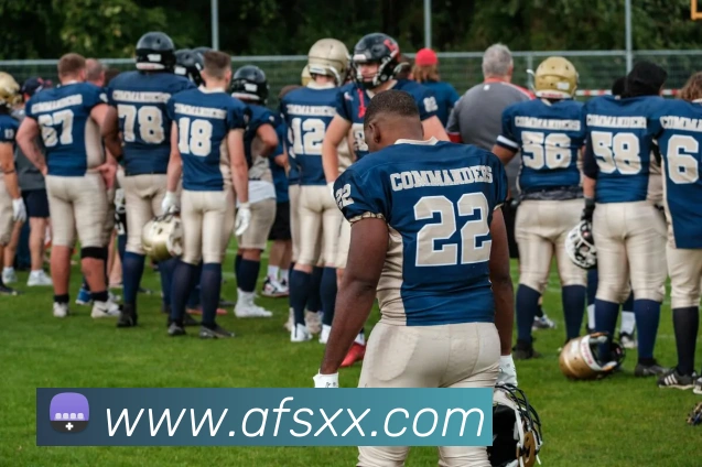 米乐官网-首页服务体系